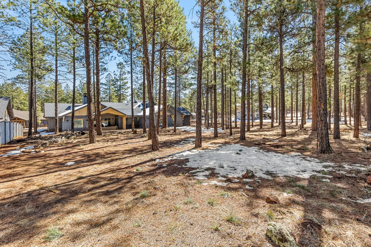 This exterior image highlights a tranquil pine-tree setting with houses nestled in the background and patches of snow on the ground. The scene evokes a sense of adventure and togetherness, ideal for outdoor activities, nature walks, and family gatherings.
